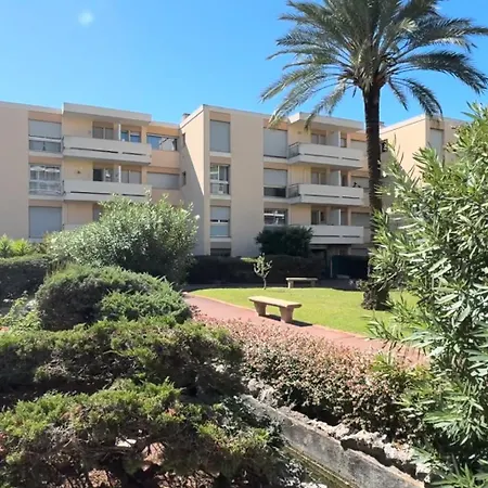 Croisette Palm * Cannes